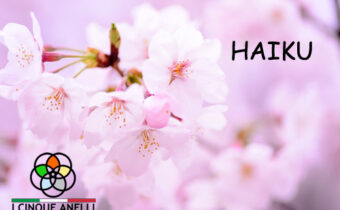 Haiku