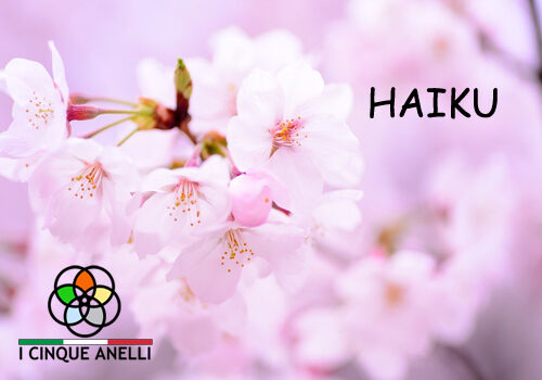 Haiku
